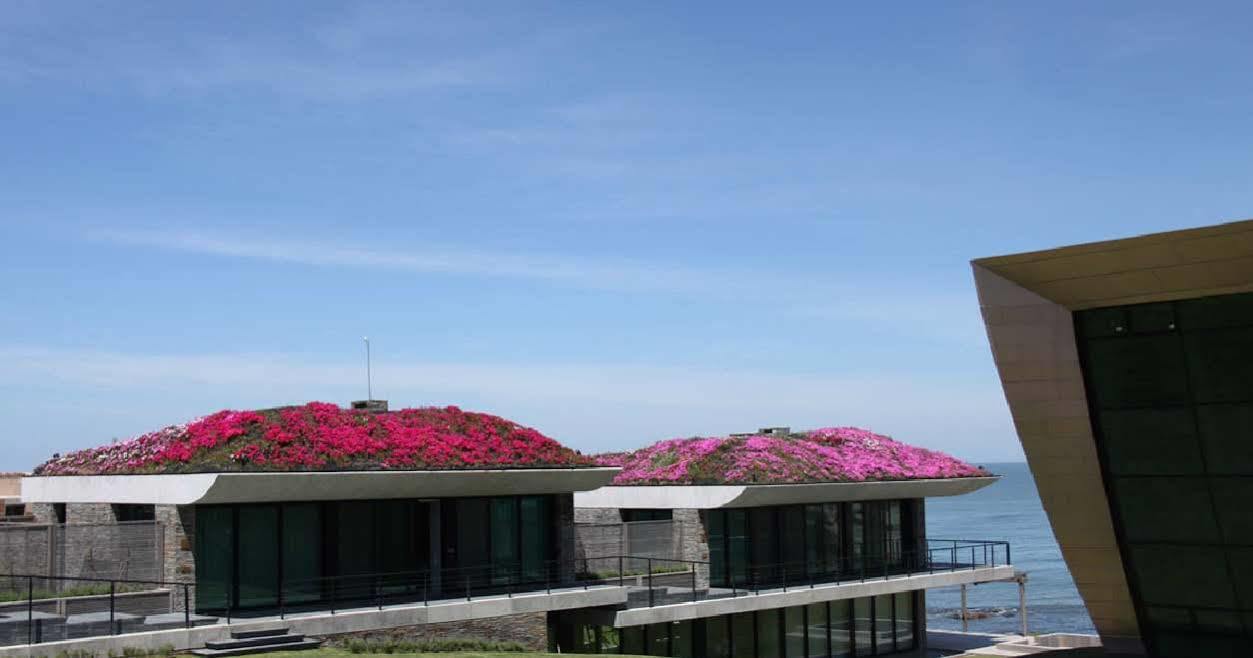 Playa Vik Jose Ignacio Villa Eksteriør bilde
